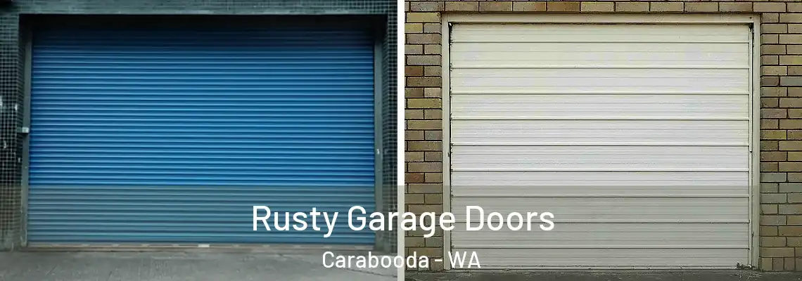  Rusty Garage Doors Carabooda - WA