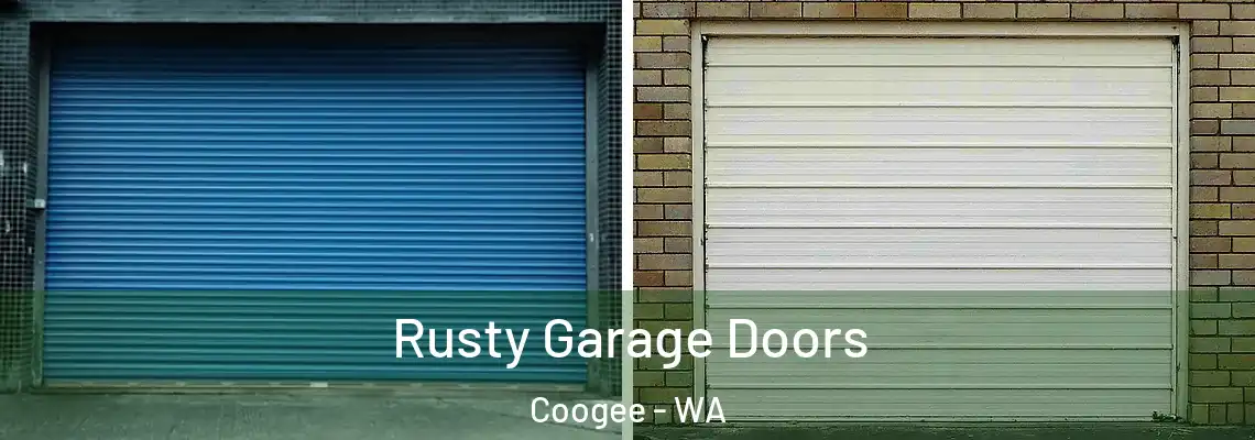 Rusty Garage Doors Coogee - WA