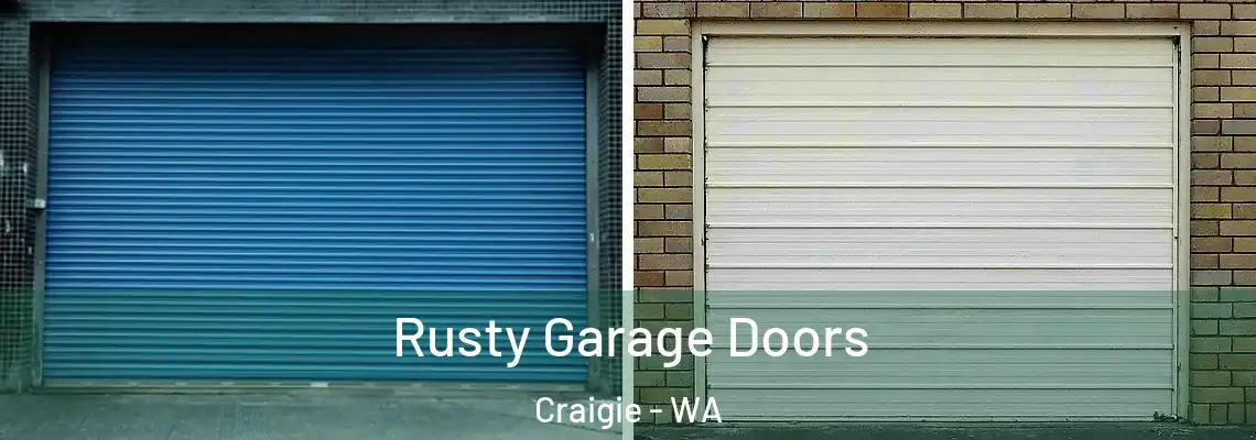 Rusty Garage Doors Craigie - WA