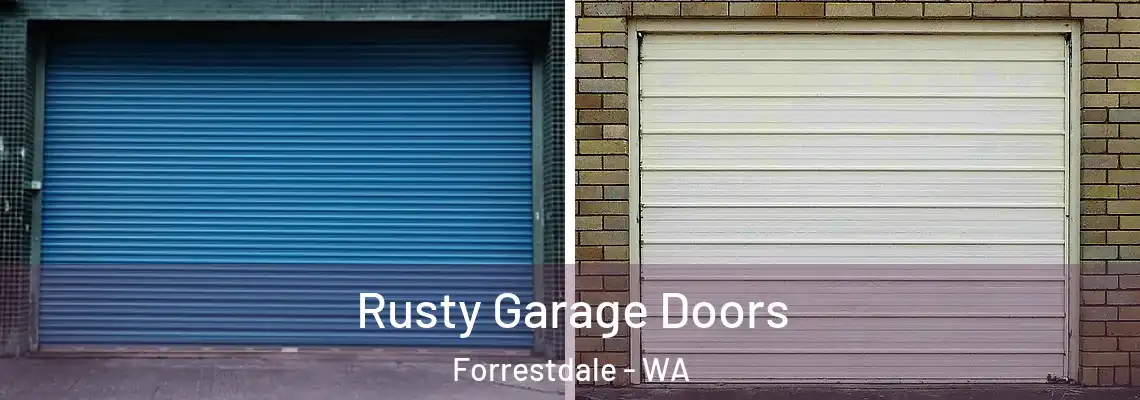 Rusty Garage Doors Forrestdale - WA