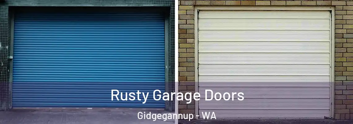 Rusty Garage Doors Gidgegannup - WA