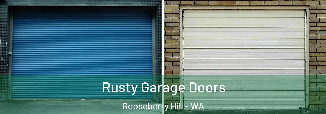 Rusty Garage Doors Gooseberry Hill - WA