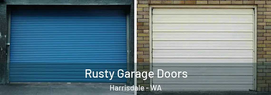Rusty Garage Doors Harrisdale - WA