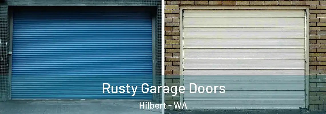 Rusty Garage Doors Hilbert - WA