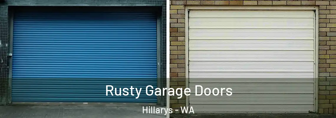  Rusty Garage Doors Hillarys - WA