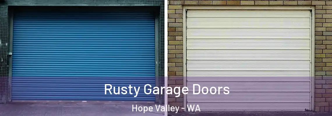 Rusty Garage Doors Hope Valley - WA