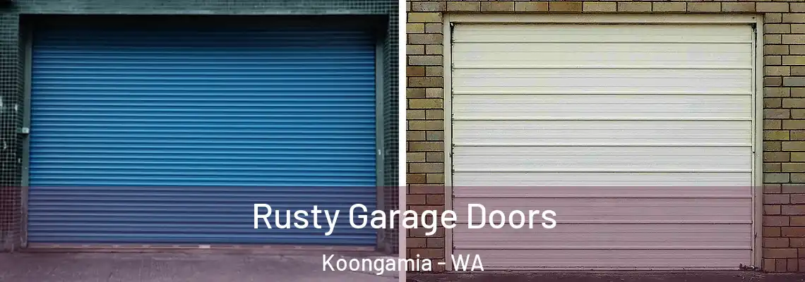 Rusty Garage Doors Koongamia - WA