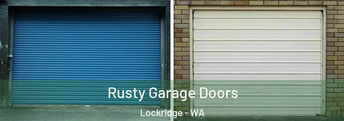 Rusty Garage Doors Lockridge - WA