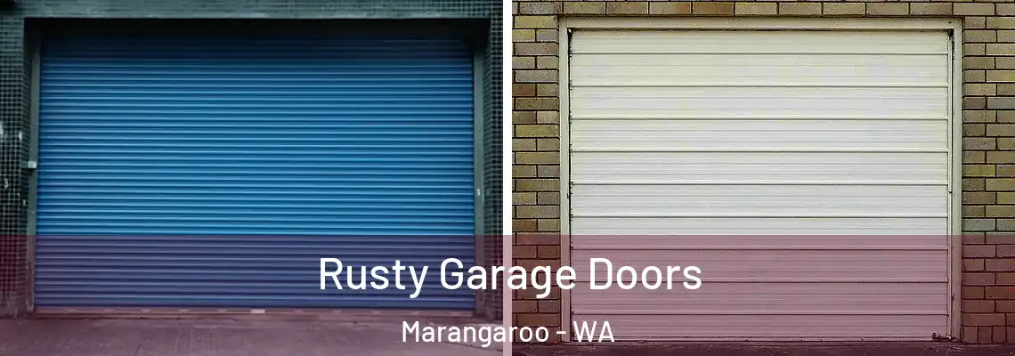  Rusty Garage Doors Marangaroo - WA