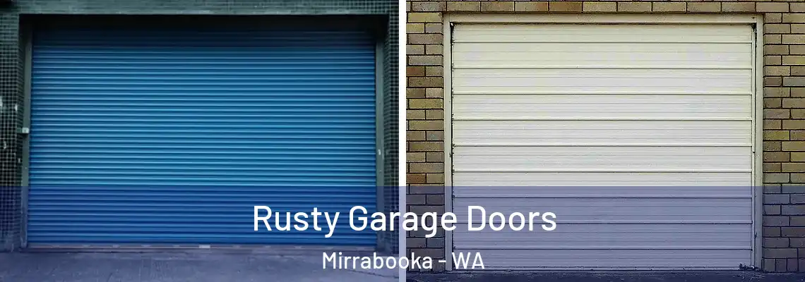 Rusty Garage Doors Mirrabooka - WA
