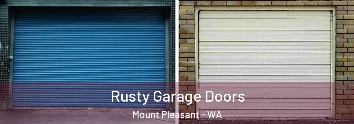  Rusty Garage Doors Mount Pleasant - WA