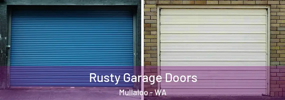 Rusty Garage Doors Mullaloo - WA