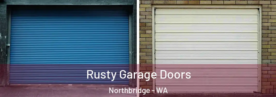 Rusty Garage Doors Northbridge - WA