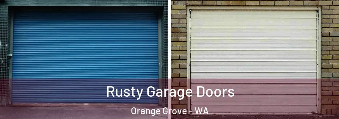  Rusty Garage Doors Orange Grove - WA