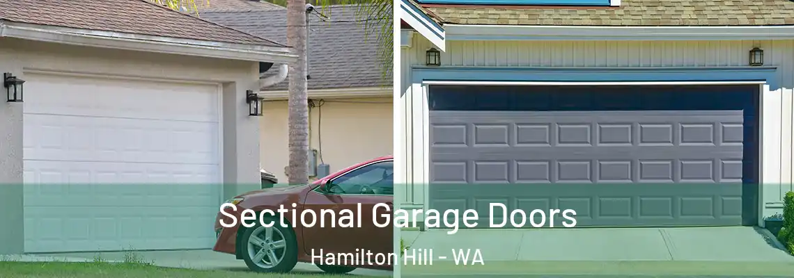  Sectional Garage Doors Hamilton Hill - WA