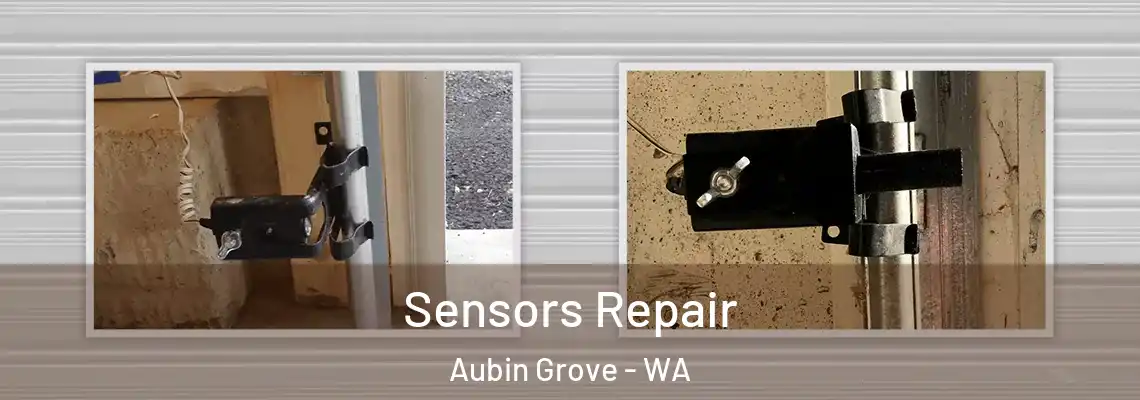Sensors Repair Aubin Grove - WA