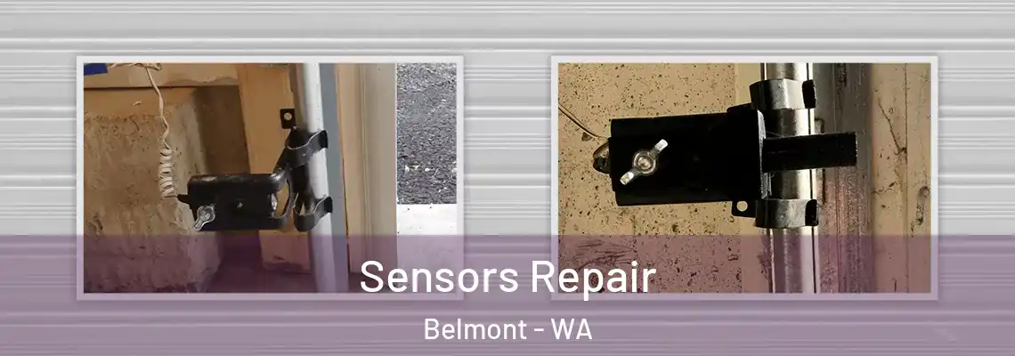  Sensors Repair Belmont - WA