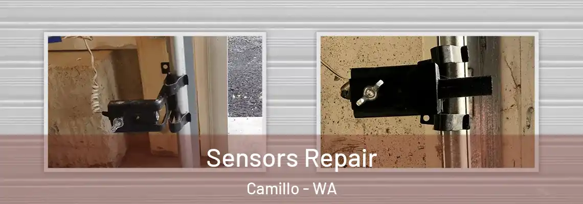 Sensors Repair Camillo - WA