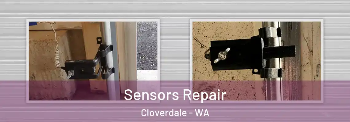 Sensors Repair Cloverdale - WA