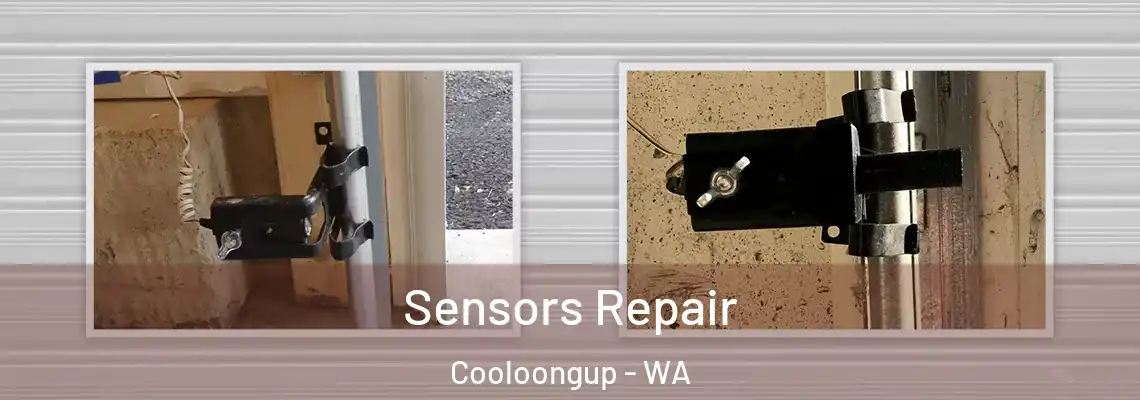 Sensors Repair Cooloongup - WA
