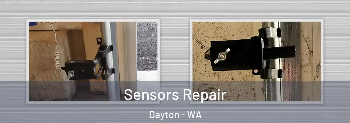 Sensors Repair Dayton - WA