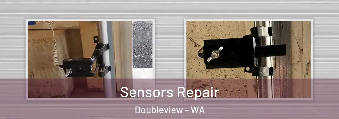 Sensors Repair Doubleview - WA
