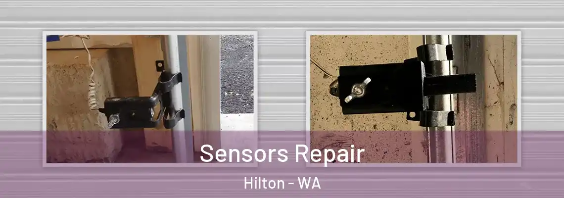 Sensors Repair Hilton - WA