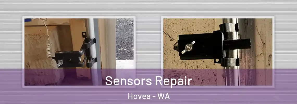 Sensors Repair Hovea - WA