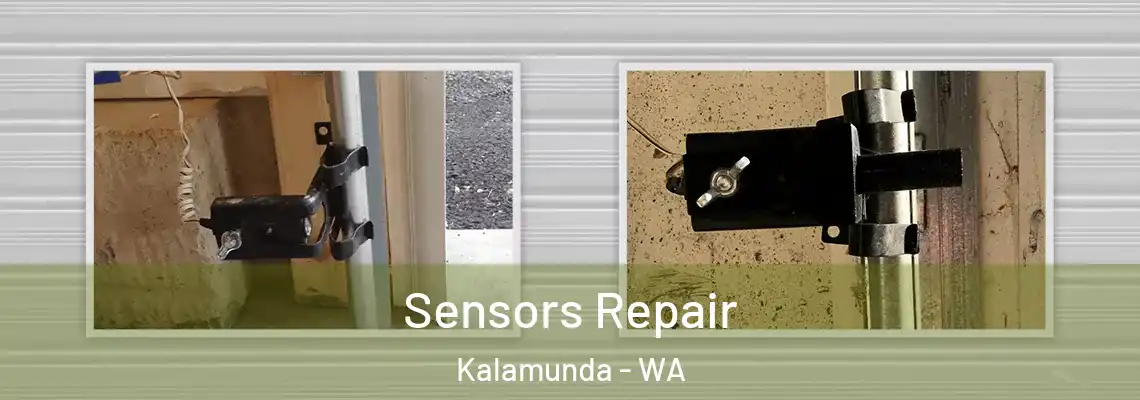  Sensors Repair Kalamunda - WA