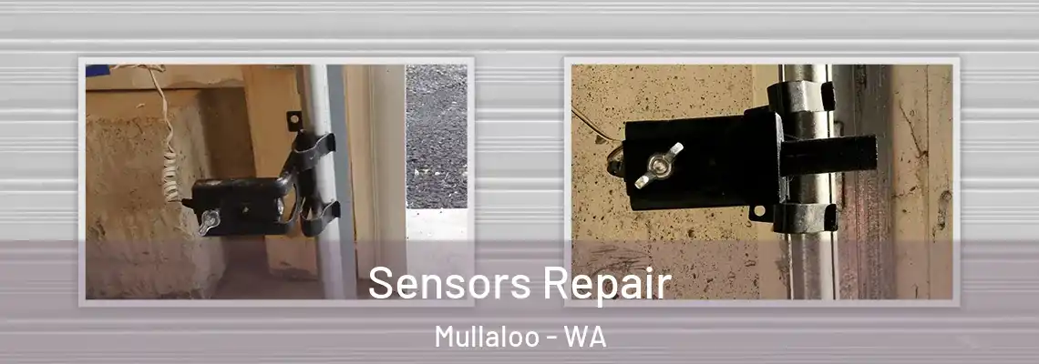 Sensors Repair Mullaloo - WA
