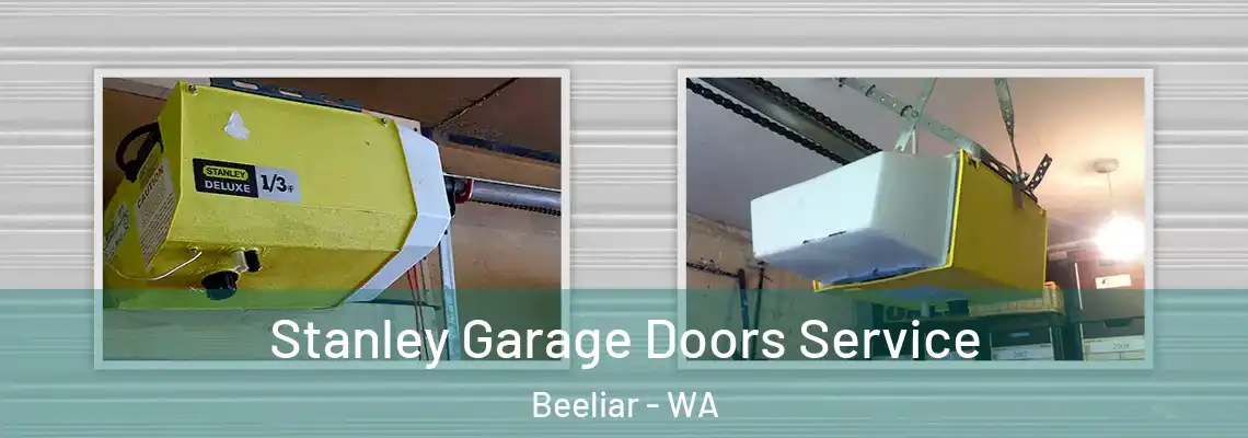 Stanley Garage Doors Service Beeliar - WA
