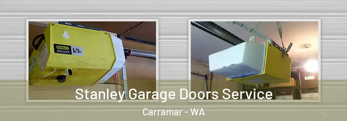 Stanley Garage Doors Service Carramar - WA