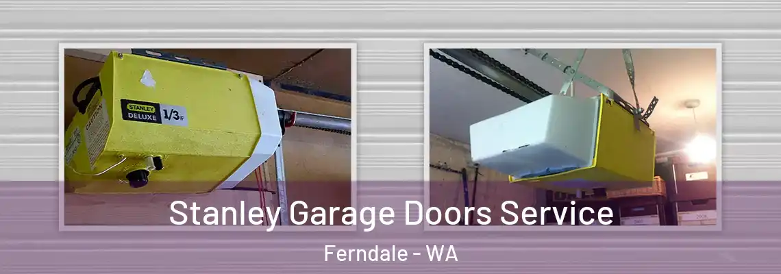 Stanley Garage Doors Service Ferndale - WA