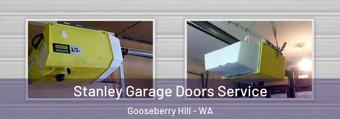 Stanley Garage Doors Service Gooseberry Hill - WA