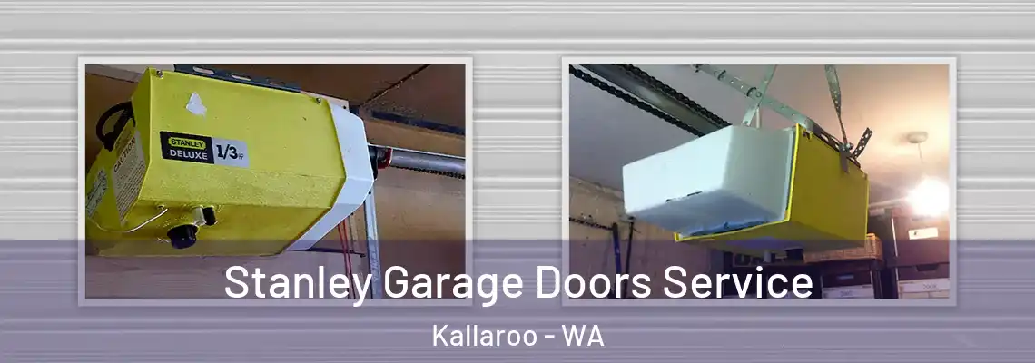 Stanley Garage Doors Service Kallaroo - WA