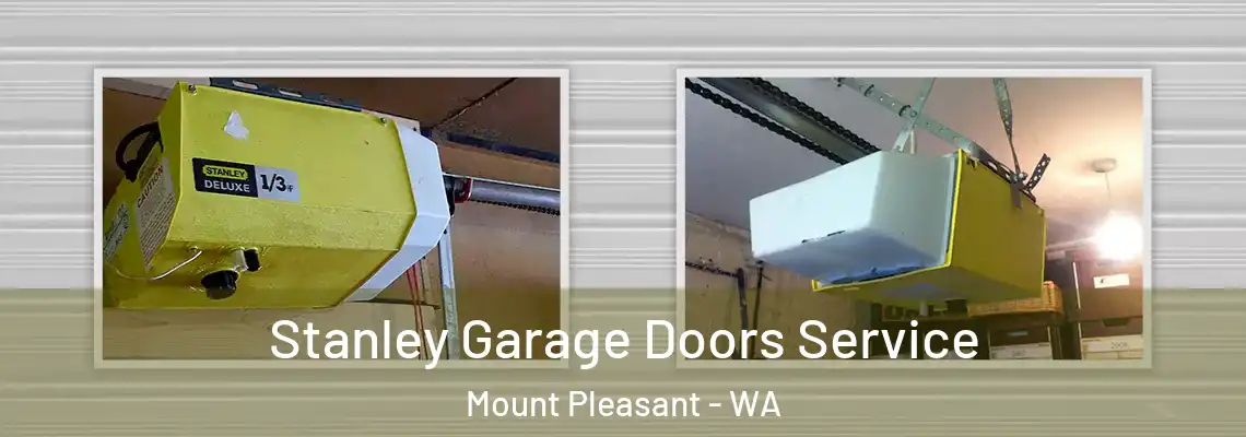 Stanley Garage Doors Service Mount Pleasant - WA